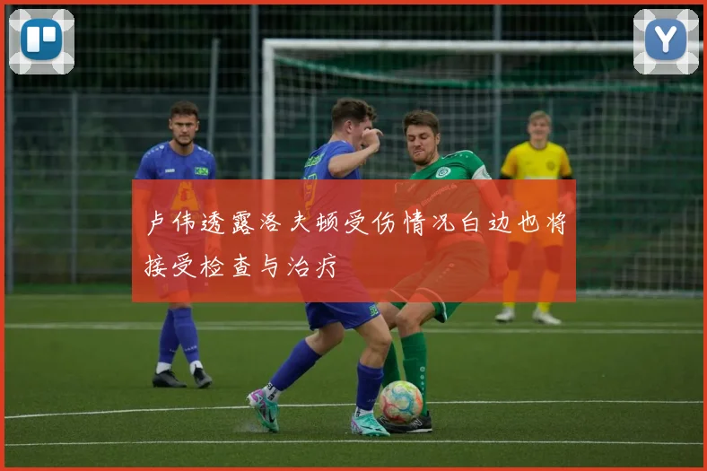 卢伟透露洛夫顿受伤情况白边也将接受检查与治疗