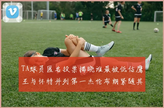 TA球员匿名投票揭晓谁最被低估鹰王与怀特并列第一杰伦布朗紧随其后